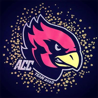 Assindia Cardinals Cheerleader